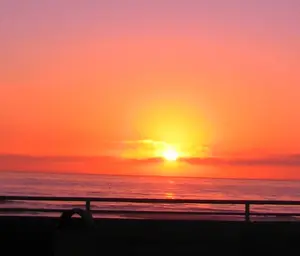 sunsetnoTree