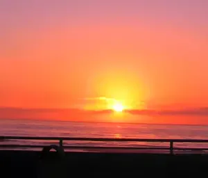 sunsetnoTree