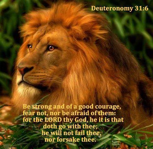 Lion Due 31:6 Be strong