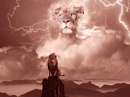 the-lion-of-juda.jpg